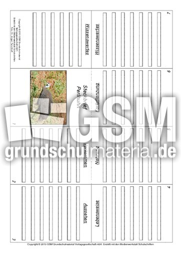 Faltbuch-Perlhuhn.pdf